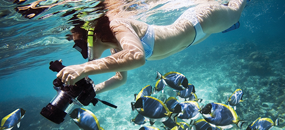 Snorkelling