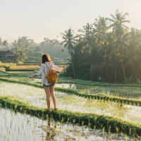 Qatar Airways Qatar Airways