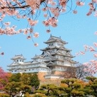 flight centre tours of japan