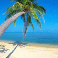 Holiday Packages And Deals Save With Flight Centre