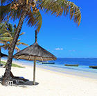A view of a white beach, palm tree and thatch umbrella in Mauritius, which can be visited via a cheap flight with Flight Centre.