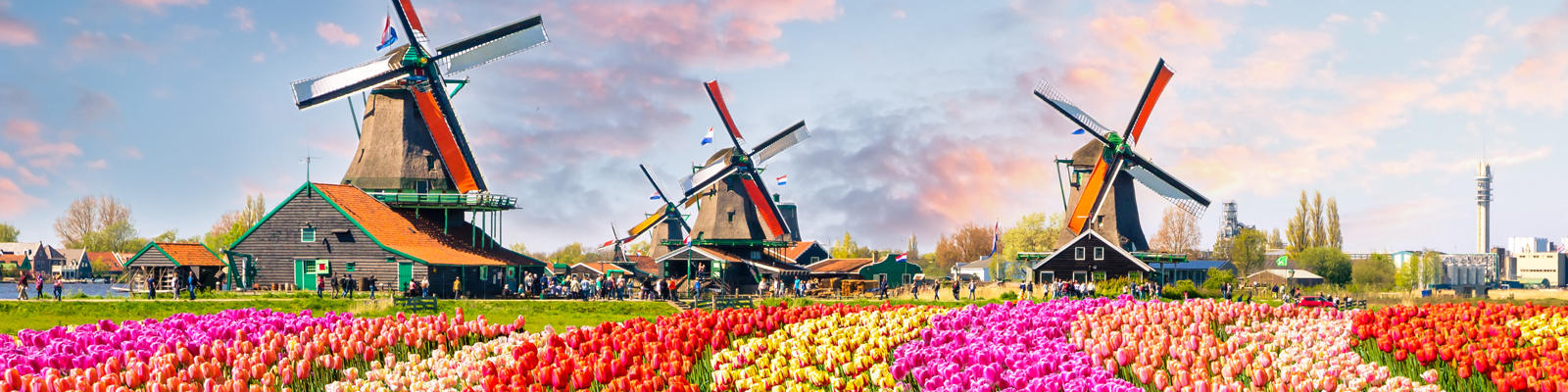 Amsterdam day tours amsterdam-day-tours