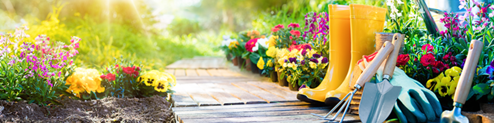 gardening ideas