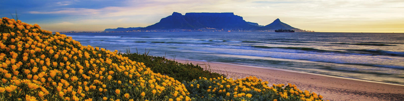 Reasons being South African is Awesome reasons-being-south-african-is-awesome