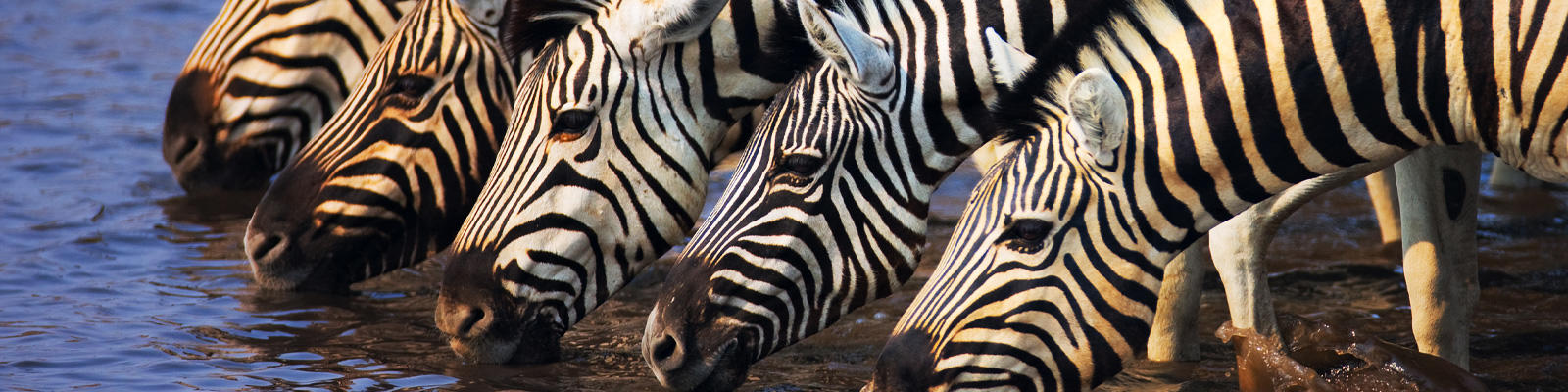Wild outdoor adventures to tick off your Bucket List wild-outdoor-adventures-to-tick-off-your-bucket-list