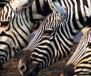 wild-outdoor-adventures-to-tick-off-your-bucket-list