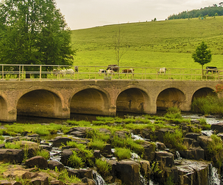 Things to do in the Midlands