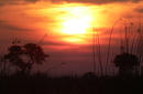 Sunset over the Chobe National Park, Botswana | by Flight Centre's Kylie Schreiber