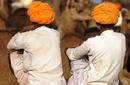 Camel Owners, India