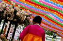 Rows of Lanterns, Hanbok, South Korea