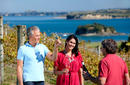 Wine at Cable Bay | © Auckland Tourism, Events and Economic Development Ltd.
