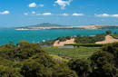 Waiheke Island Winery, a day trip from Auckland