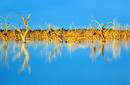 Lake Menindee, New South Wales