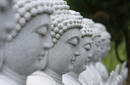 Buddha Statues