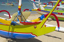 Dragonfly Boat