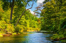 The Gunpowder Falls State Park