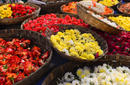 Flowers for sale