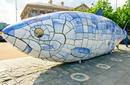 The Big Fish