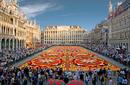 Flower Carpet, Brussels