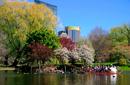 Gardens in Spring