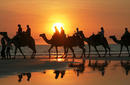 Sunset Camel Ride