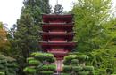 Japanese Gardens in Golden Gate Park, San Francisco | by Flight Centre's Tiffany Apatu
