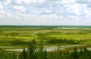 Wood Buffalo National Park, Alberta | by Flight Centre's Darcie Cutherbert
