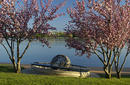 Sphere, Lake Burley Griffin, Canberra