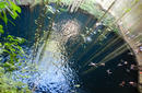Ik-kil "Sacred Blue" Cenote | by Flight Centre's Tiffany Apatu