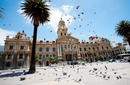 City Hall, Port Elizabeth