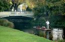 Punting, Avon River