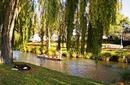 Relax by the Avon River