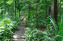 Dolly Beach Boardwalk | by the Christmas Island Tourism Association © Phil Cash