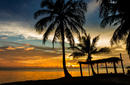 Tropical Gazebo, Rarotonga