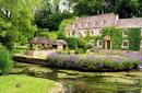 Stroll through the gardens