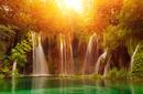 Natural Beauty