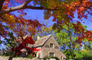 The Cotswold Cottage Tea House