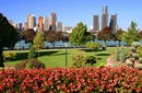 The city&#039;s skyline