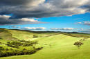 The countryside around Dunedin