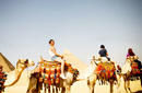 Tourists taking a camel ride