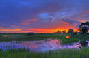 Everglades National Park