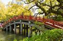 A Traditional Japanese Bridge