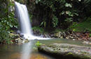 Waterfall, Mount Tamborine, Gold Coast Hinterland