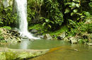 Waterfall, Mount Tamborine, Gold Coast Hinterland