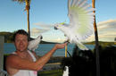 Cockatoos | by Flight Centre's Kimberley Scriven