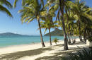 Catseye Beach