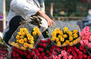 Flower Vendor, Hanoi market