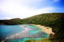 Colours of the Reef | by Flight Centre&#039;s Gareth Jarrett