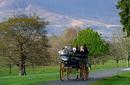 Killarney National Park, County Kerry | by Flight Centre's Karina McLean