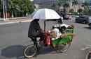 Mobile Stall